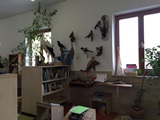 Aktion gute Schule Besuch in der Ilztalgrundschule